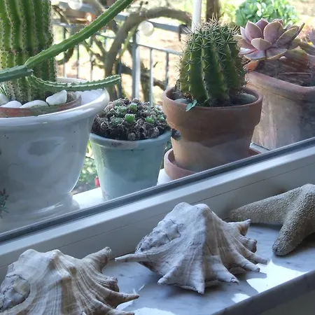 木屋 Lo Sul Golfo 斯培西亚