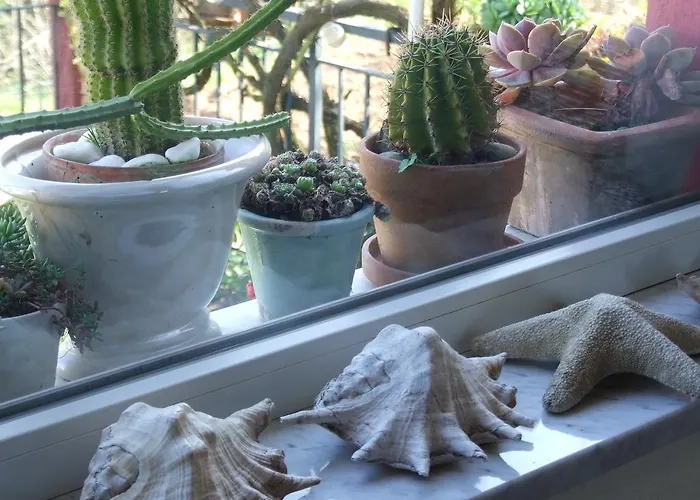 Chalet Lo Sul Golfo La Spezia